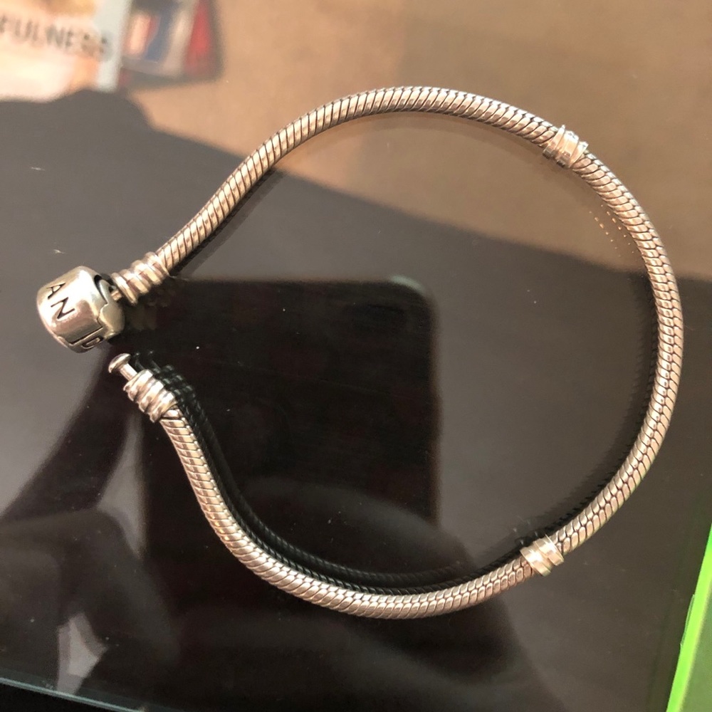Classic Pandora Moments Silver Bracelet